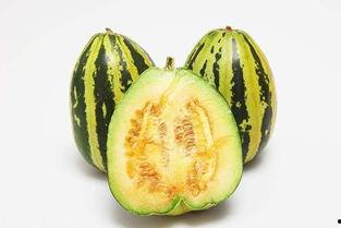 g718sx娱乐吃瓜,揭秘吃瓜群众的狂欢盛宴