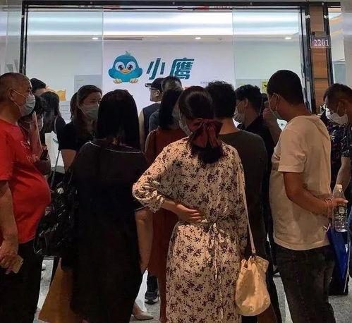 租客图片,一图看尽租房日常