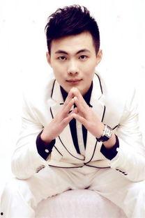 赵傅个人资料,才华横溢的音乐才子，演绎人生旋律