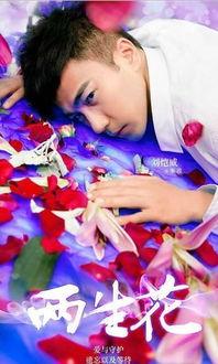 两生花图片,交织的命运与永恒的轮回